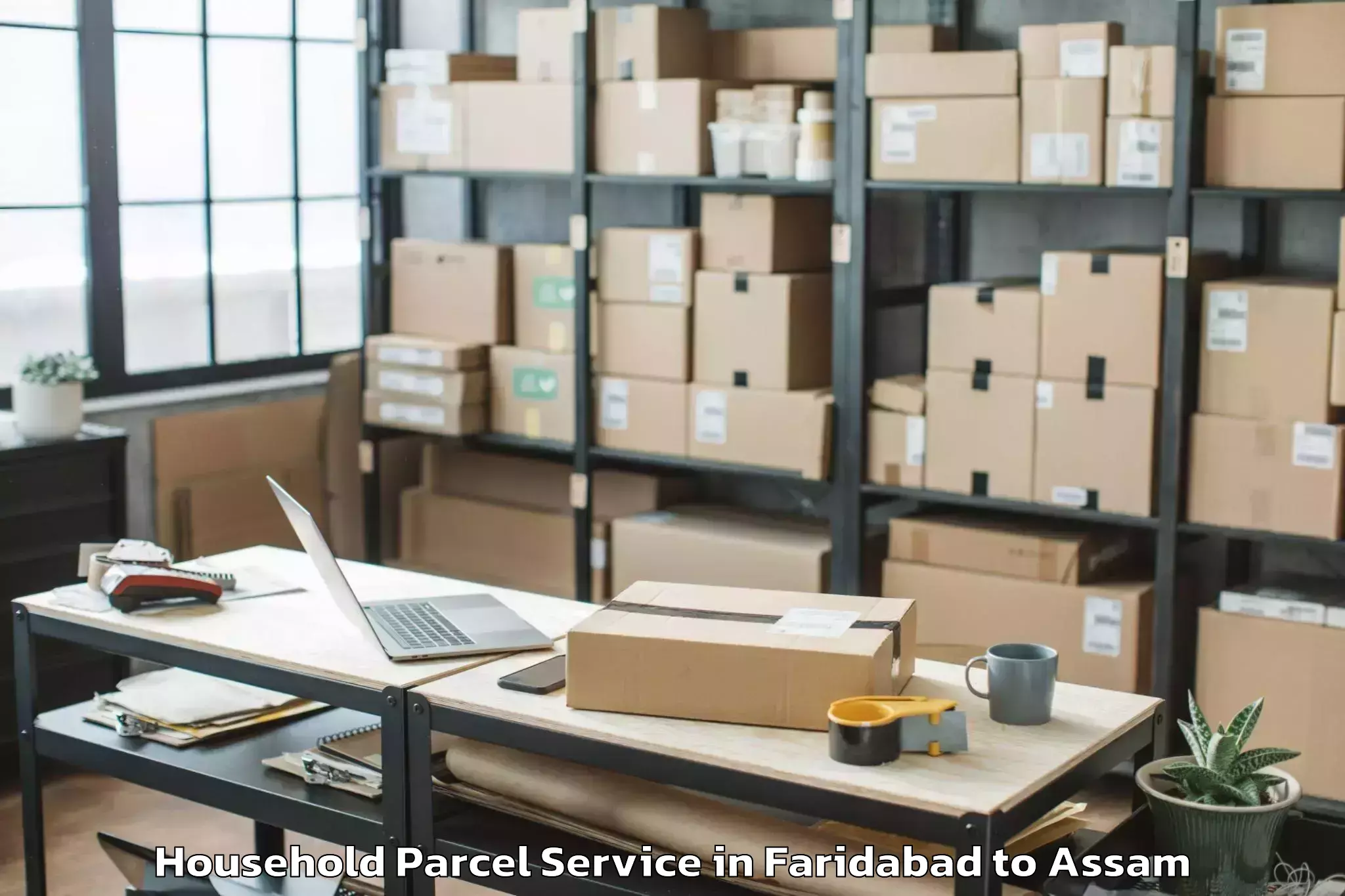 Trusted Faridabad to Tezpur University Tezpur Household Parcel